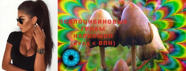 мескалин Горнозаводск