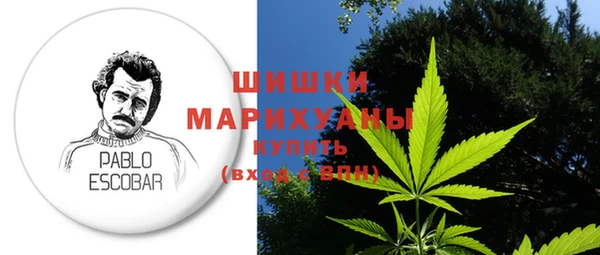 PSILOCYBIN Горно-Алтайск