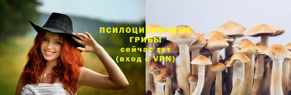 мескалин Горнозаводск