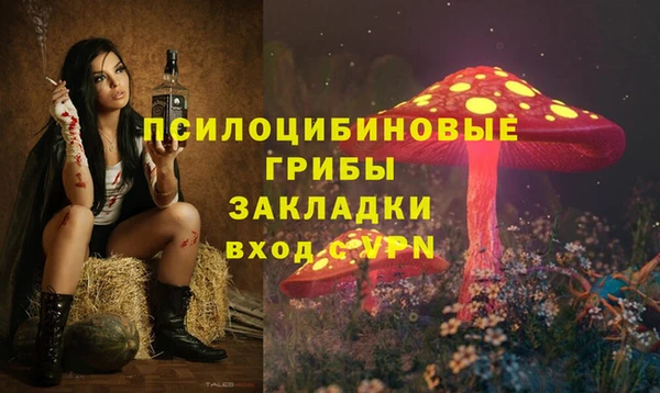 PSILOCYBIN Горно-Алтайск