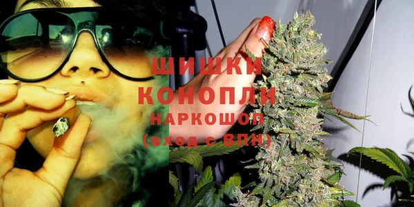 PSILOCYBIN Горно-Алтайск