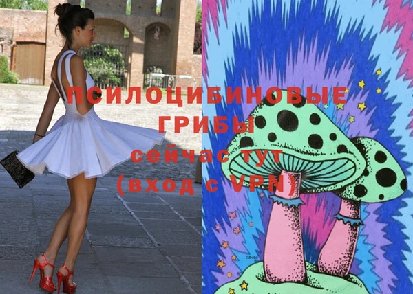 PSILOCYBIN Горно-Алтайск