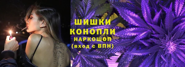 PSILOCYBIN Горно-Алтайск