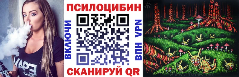 магазин продажи   Владикавказ  Галлюциногенные грибы Magic Shrooms 